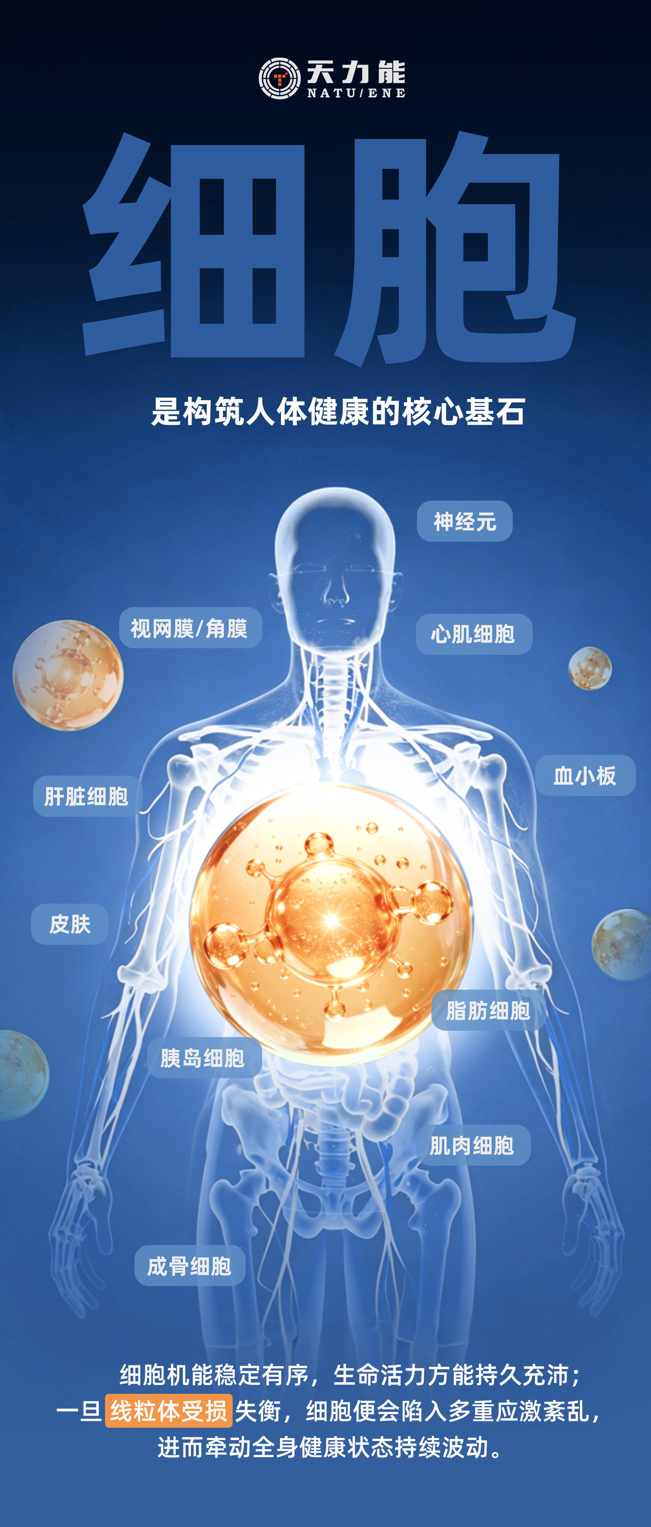华西医院_01.jpg